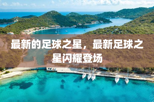 最新的足球之星，最新足球之星閃耀登場山東水清源環(huán)?？萍加邢薰? class=