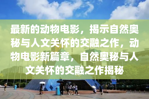 最新的動(dòng)物電影，揭示自然奧秘與人文關(guān)懷的交融之作，山東水清源環(huán)?？萍加邢薰緞?dòng)物電影新篇章，自然奧秘與人文關(guān)懷的交融之作揭秘
