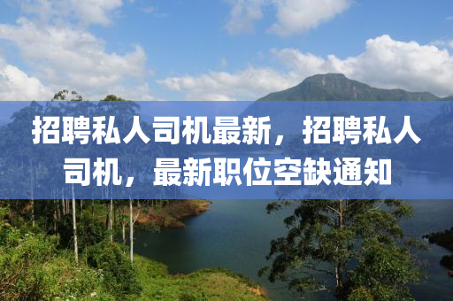 招聘私人司機(jī)最新，招聘私人司機(jī)，最新職位空缺通知山東水清源環(huán)?？萍加邢薰? class=