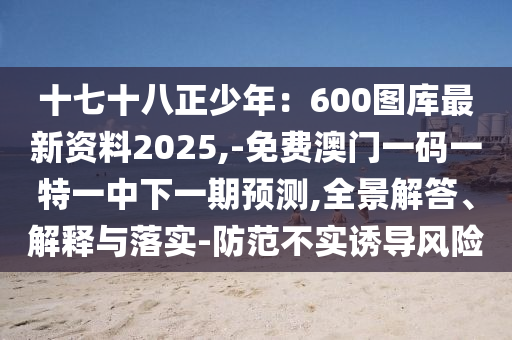 十七十八正少年：600圖庫最新資料2025,-免費澳門一碼一特一中下一期預測,全景解答、解釋與落實-防范不實誘導風險