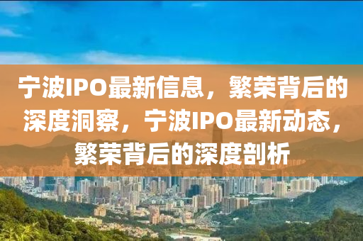 寧波IPO最新信息，繁榮背后的深度洞察，寧波IPO最新動(dòng)態(tài)，繁榮背后的深度剖析