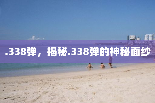 .338彈，揭秘.338彈的神秘面紗