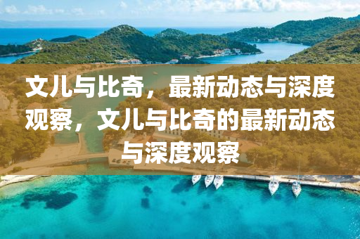 文兒與比奇，最新動態(tài)與深度觀察，文兒與比奇的最新動態(tài)與深度觀察